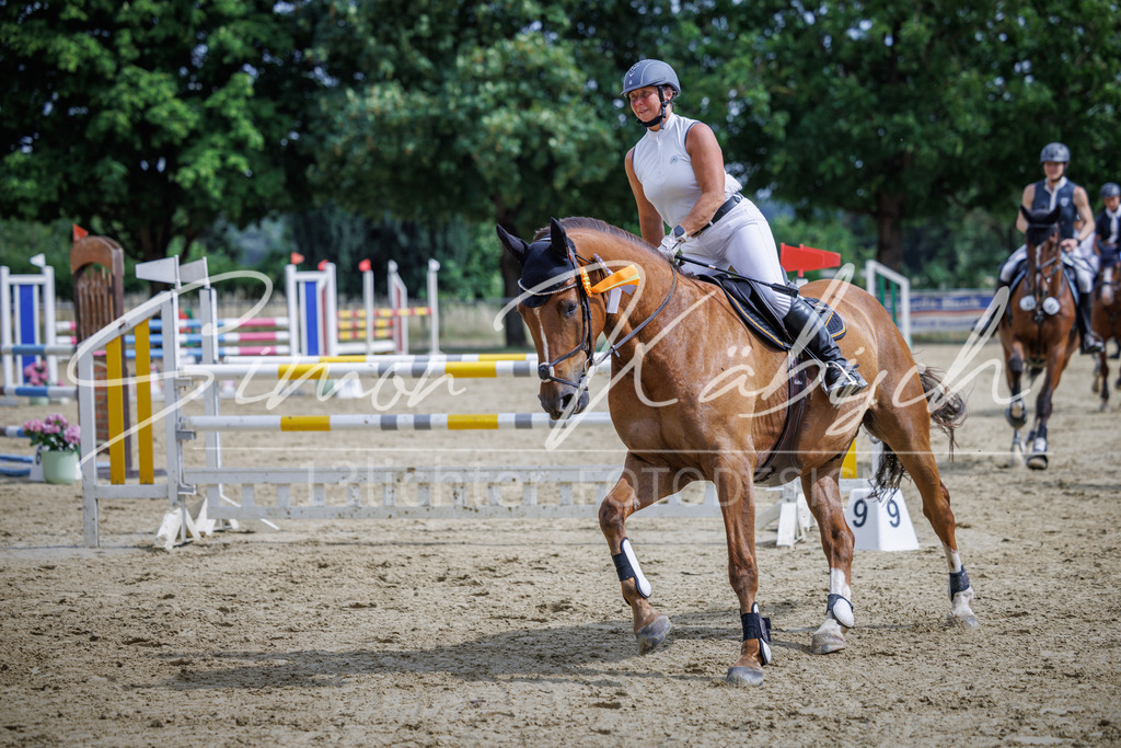 20260705-_3LI6785 | Tierfotografie Pferde, Hunde, Katzen, Haustiere.
Turnierfotografie Reitturniere, Reiten, Springreiten, Dressur in Hanau, dem Main-Kinzig-Kreis und dem Rhein-Main- Gebiet um Frankfurt