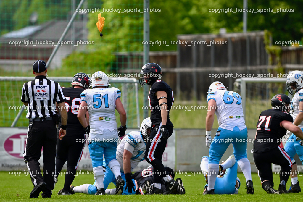 Carinthian Lions vs. Styrian Bears | Carinthian Lions vs. Styrian Bears, Carinthian Lions vs. Styrian Bears am 20.05.2024 in Klagenfurt (ASV Sportplatz), Austria, (Photo by Bernd Stefan)