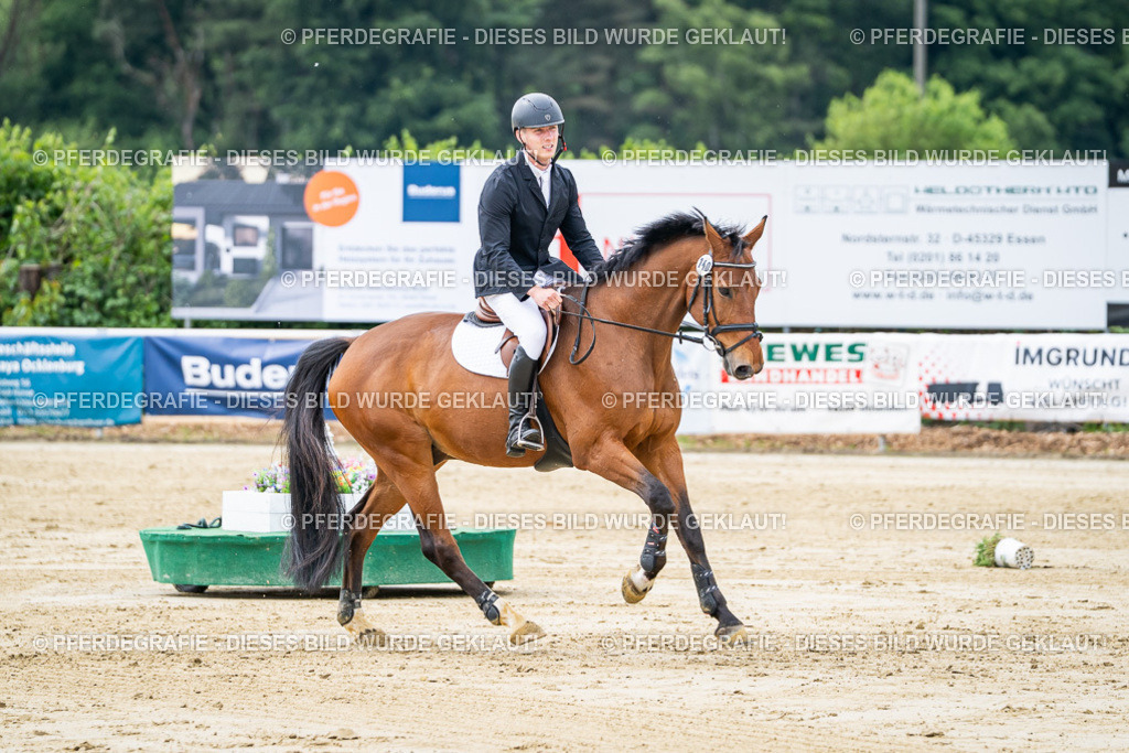 DSC04921 | Pferdegrafie