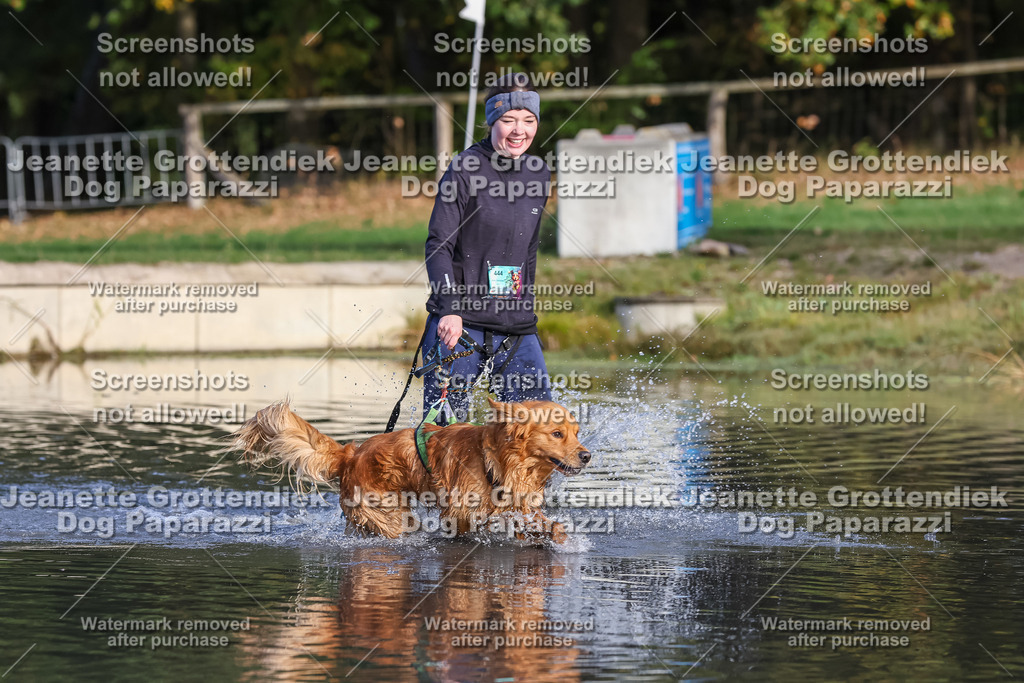 Dog Paparazzi - Strongdog 10-25-8385 | Dog Paparazzi Jeanette Grottendiek Fotografie & Videografie