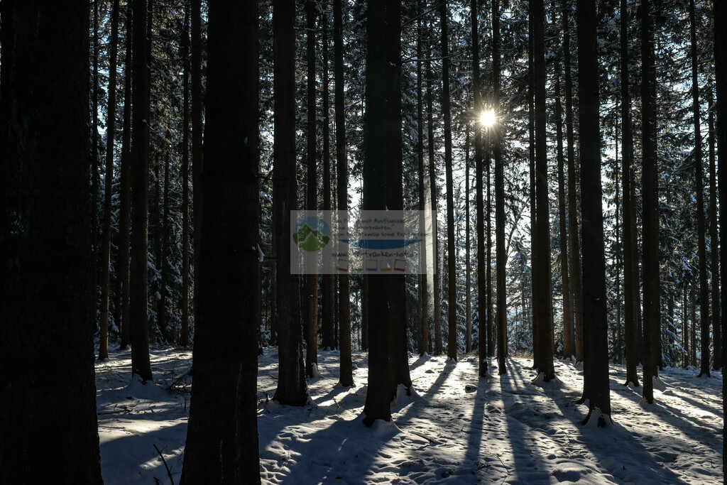 Tiefstehende Sonne Winter | Impressionen rund um Hochfranken - Frankenwald - Fichtelgebirge - Realisiert mit Pictrs.com