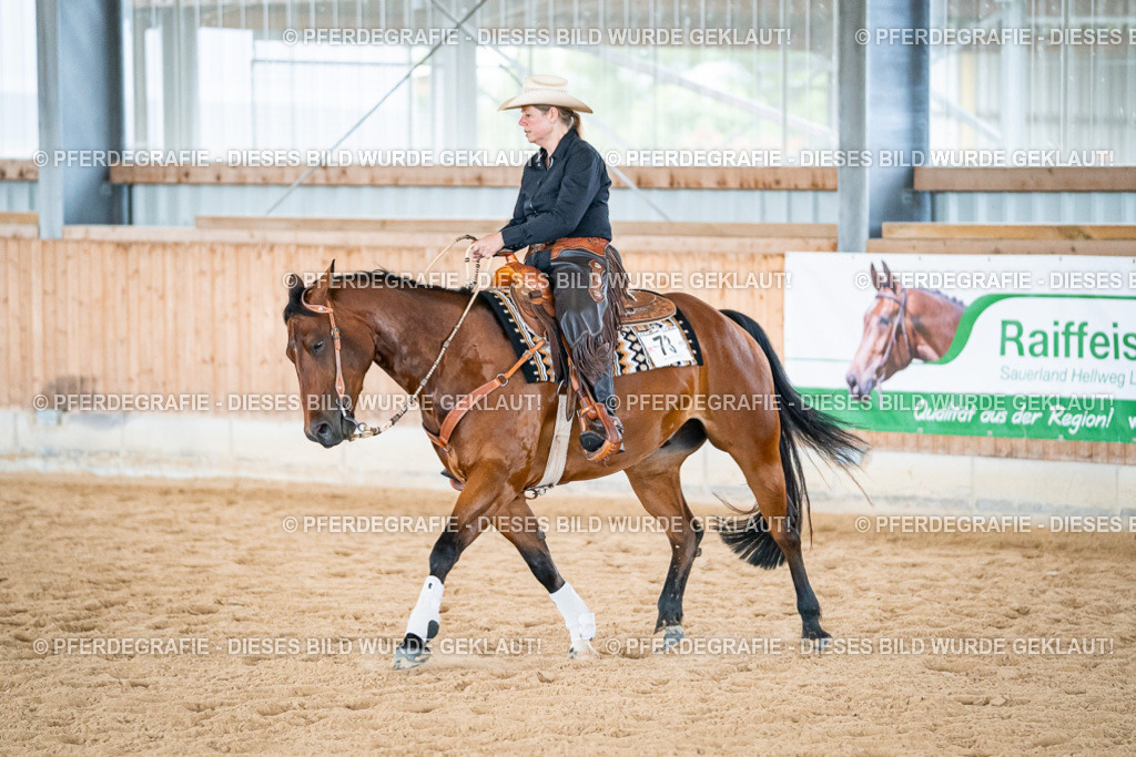 DSC03686 | Pferdegrafie