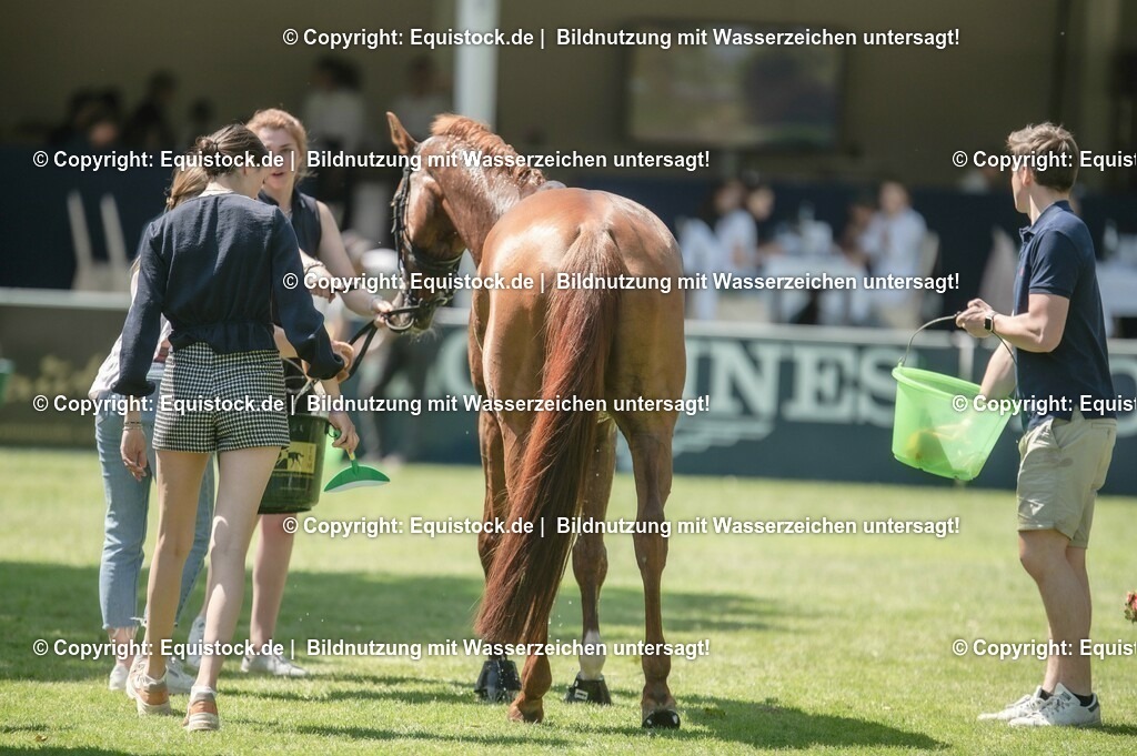 20230527_27_CCI4_Gelände_0198 | equistock