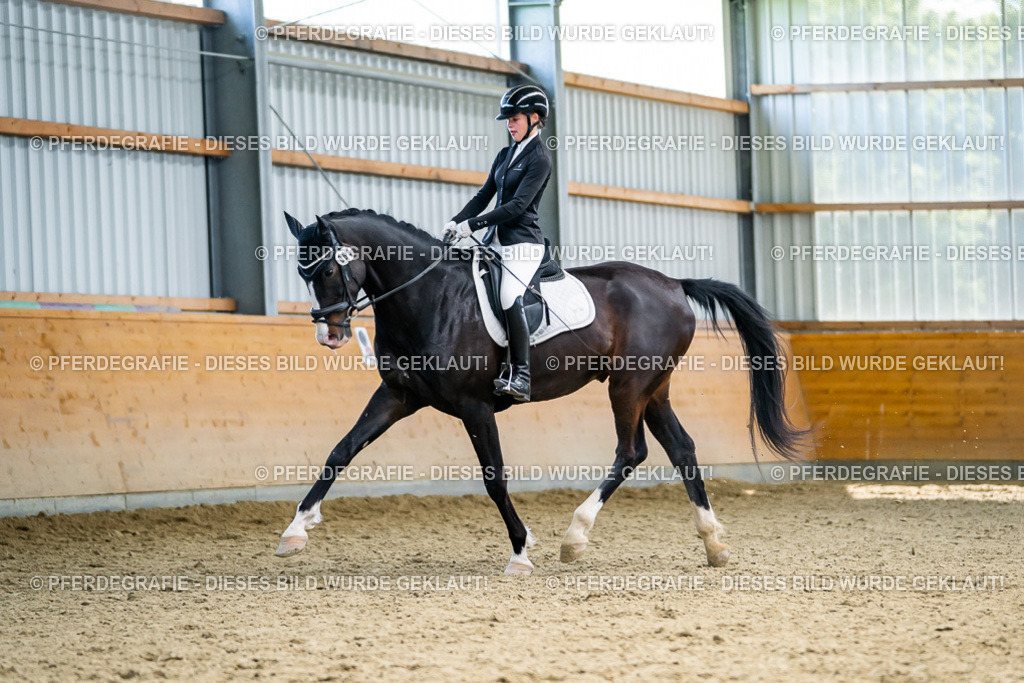 DSC05863 | Pferdegrafie