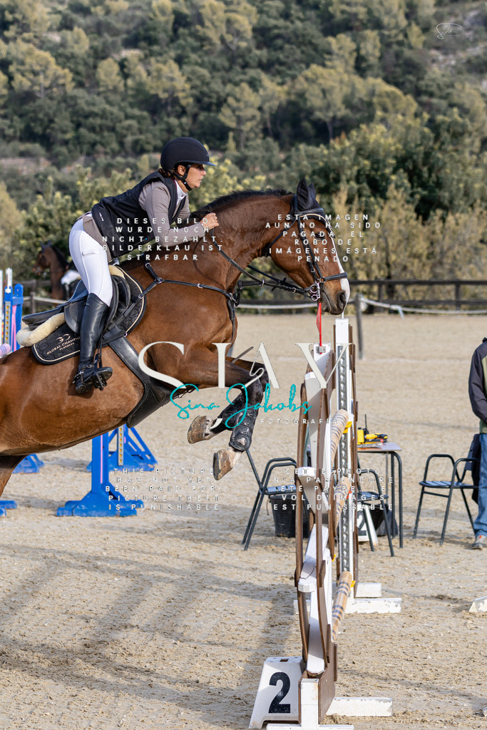 IMG_0422 | s-jay-photography - Realisiert mit Pictrs.com