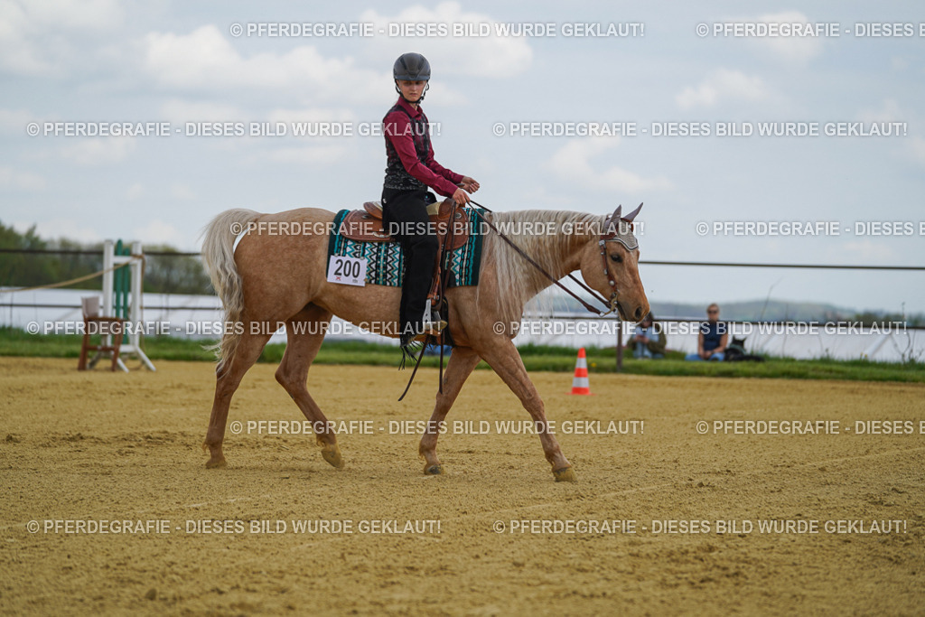 DSC05710 | Pferdegrafie