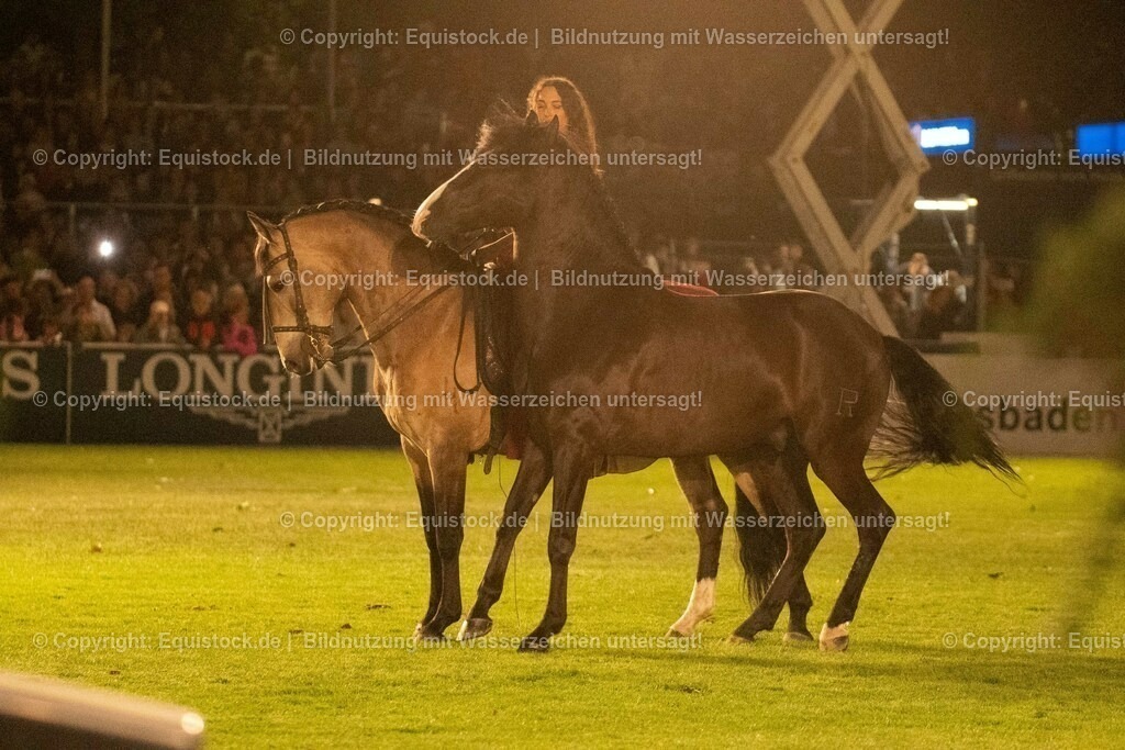 20230526_Pferdenacht_1444 | equistock