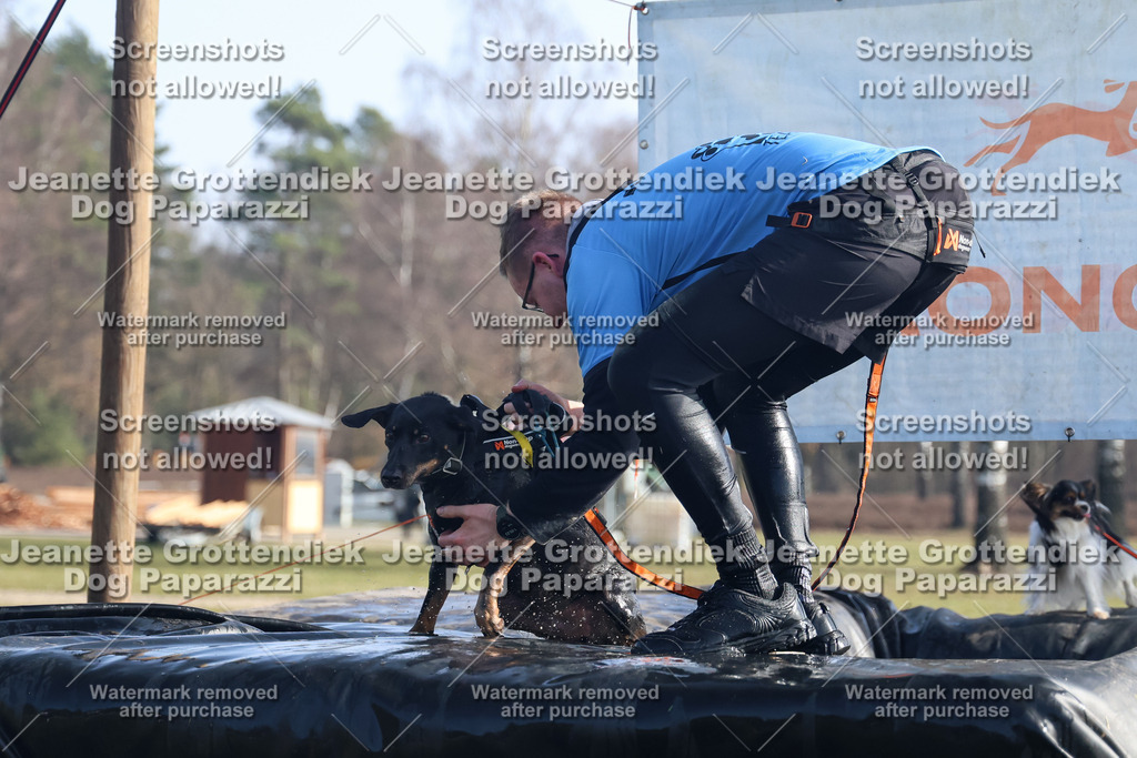 Dog Paparazzi - Strongdog North Mrz26-1438 | Dog Paparazzi Jeanette Grottendiek Fotografie & Videografie - Realisiert mit Pictrs.com