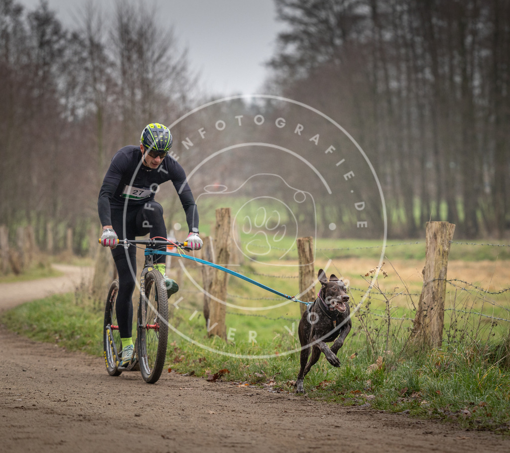Pfotenfotografie_DV3A2162 | Hundefotografie, Tierfotograf, Pfotenfotografie, Fotoshooting Hund, Hunde Portrait, Hundesport, Hundeportraits, Heideshooting, Hunde, Sportfotograf, Hundefotograf, Turnierhundsport, THS,  - Realisiert mit Pictrs.com