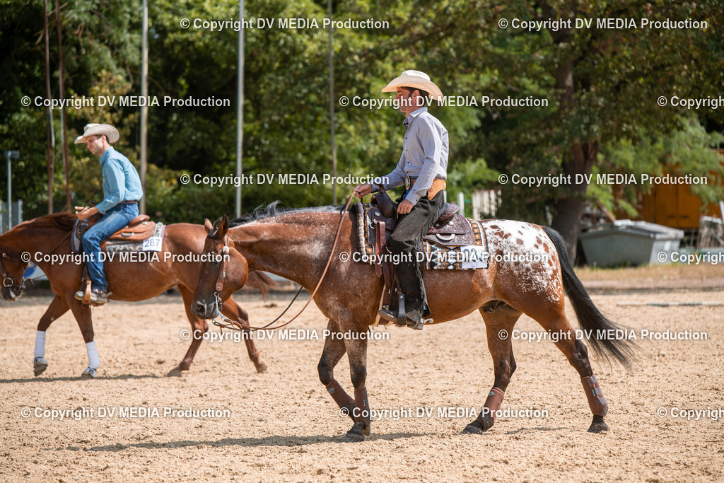 ZS3_9540 | dv-media-shop - Realisiert mit Pictrs.com