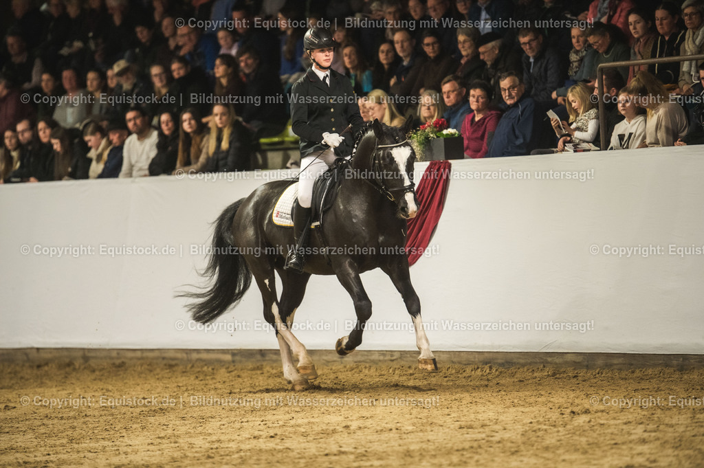 20240302_Hengstvorstellung_Marbach_TOMsPiC_0711 | equistock