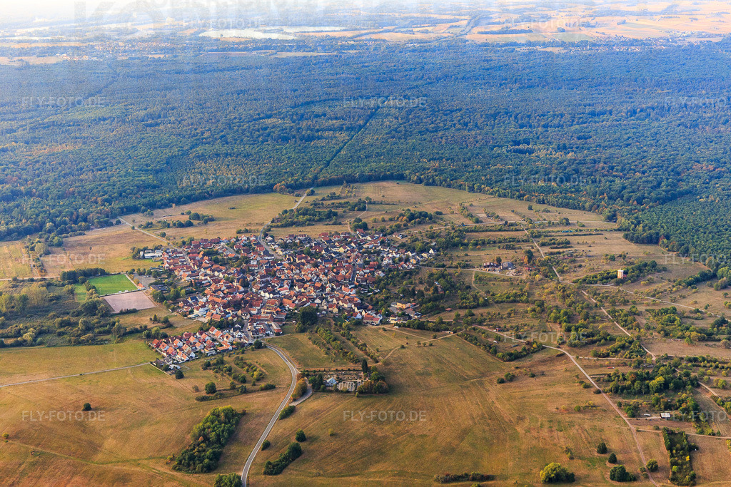 Ortsansicht aus Norden | Luftbild: Ortsansicht aus Norden im Ortsteil Büchelberg in Wörth im Bundesland Rheinland-Pfalz in Deutschland. Foto: IMG_008739.jpg vom 20.09.2020 durch Werner Riehm/FLY-FOTO.de - Realisiert mit Pictrs.com