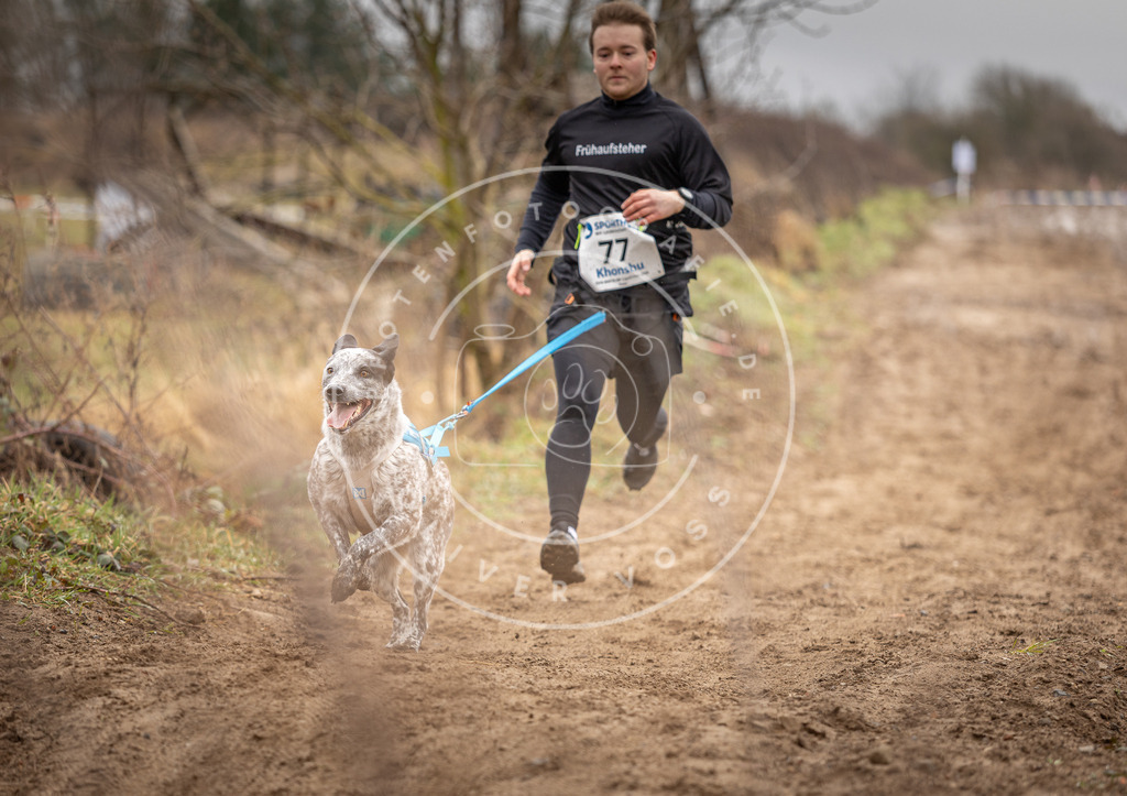 DV3A9808 | Hundefotografie, Tierfotograf, Pfotenfotografie, Fotoshooting Hund, Hunde Portrait, Hundesport, Hundeportraits, Heideshooting, Hunde, Sportfotograf, Hundefotograf, Turnierhundsport, THS,  - Realisiert mit Pictrs.com
