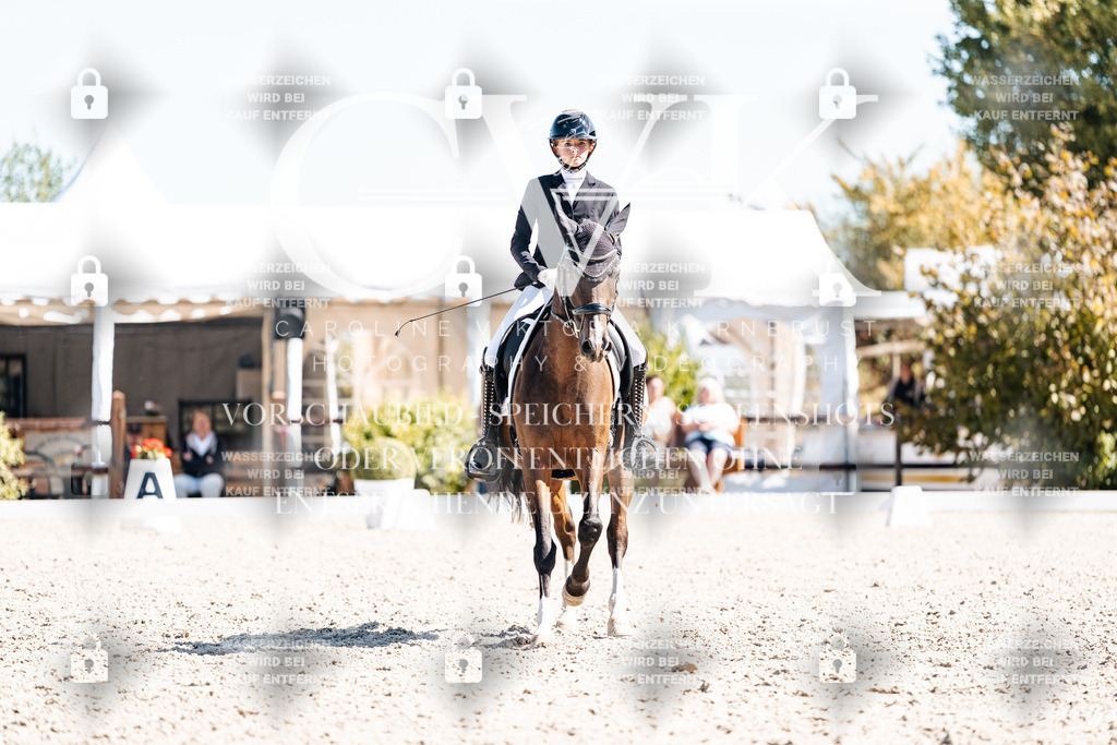 CK909669 | Turnierfotografie Pferdefotografie Trier Rheinland-Pfalz Pferdesport Reitsport Tierfotografie Sportfotografie Pferdevideo Pferdevideografie Equestrianvideography equestrianphotography  - Realisiert mit Pictrs.com