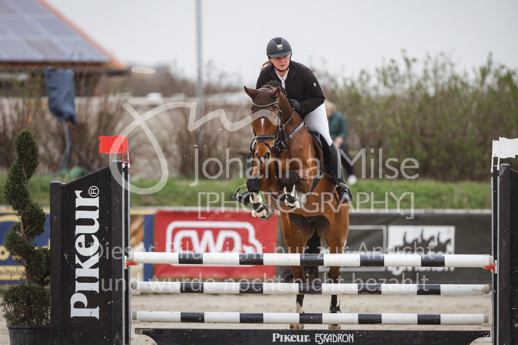 240330_Fruehlingsfest_Stil-A2-2-746 | Deine schönsten Turniermomente als professionelle Fotos! Entdecke hochwertige Pferdesport-Fotografie im Online-Shop. Jetzt Fotos finden & bestellen!