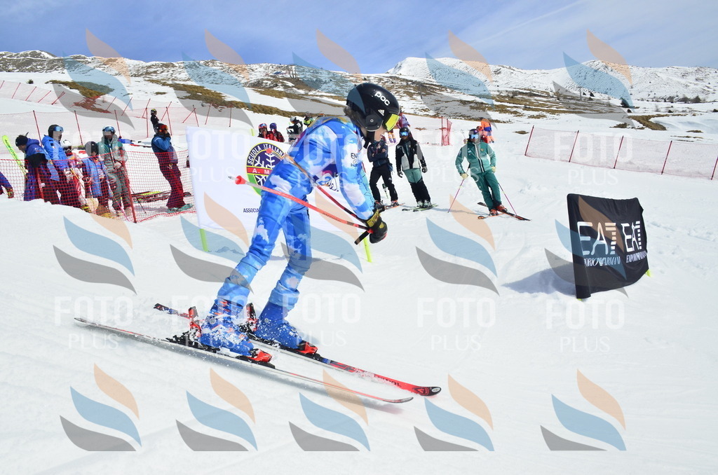 _ELE1895 | holidayphoto