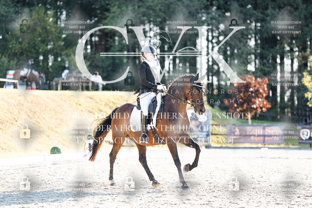 CK907091 | Turnierfotografie Pferdefotografie Trier Rheinland-Pfalz Pferdesport Reitsport Tierfotografie Sportfotografie Pferdevideo Pferdevideografie Equestrianvideography equestrianphotography  - Realisiert mit Pictrs.com
