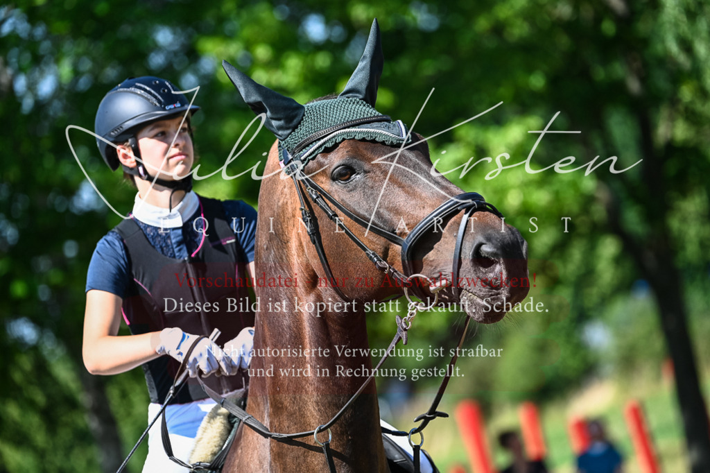 DSC_1583 | Pferde- und Turnierfotografie in Westsachsen. Pferdeportraits, Auftragszeichnungen und intuitive Kunst.