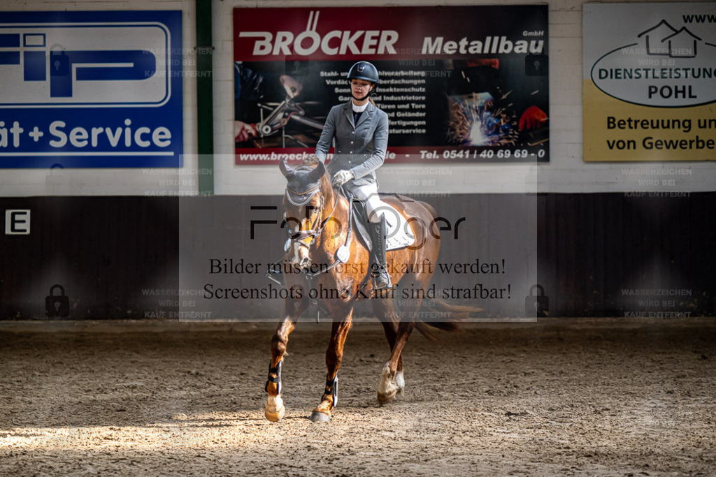 20240308-DOS_3944 | Entdecke hochwertige Reitturnierfotos von Foto Oger. Professionell, emotional und authentisch – jetzt Lieblingsmomente im Shop bestellen. - Realisiert mit Pictrs.com