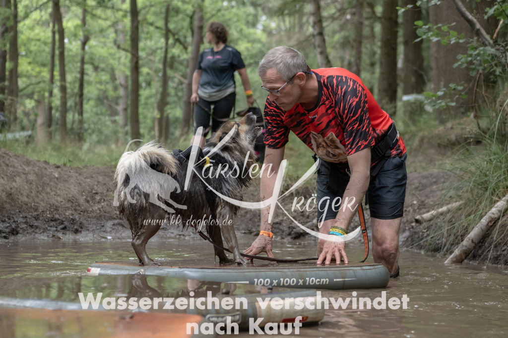 1327_ZZ94119 | kk-dogfotos