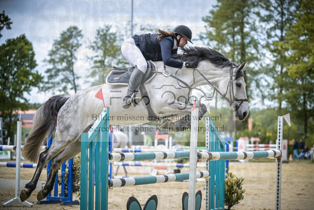 DOS_8720 | Entdecke hochwertige Reitturnierfotos von Foto Oger. Professionell, emotional und authentisch – jetzt Lieblingsmomente im Shop bestellen.Deutschlandweite Turnierfotografie. - Realisiert mit Pictrs.com