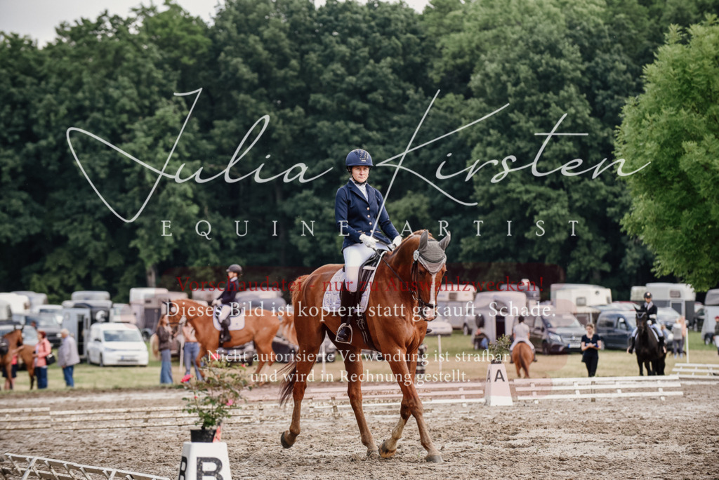 DSC_9920 | Pferde- und Turnierfotografie in Westsachsen. Pferdeportraits, Auftragszeichnungen und intuitive Kunst.