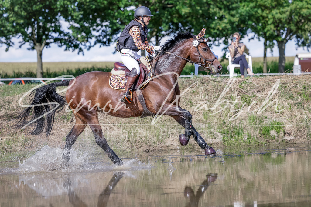 20250906-_3LI6865 | Tierfotografie Pferde, Hunde, Katzen, Haustiere.
Turnierfotografie Reitturniere, Reiten, Springreiten, Dressur in Hanau, dem Main-Kinzig-Kreis und dem Rhein-Main- Gebiet um Frankfurt