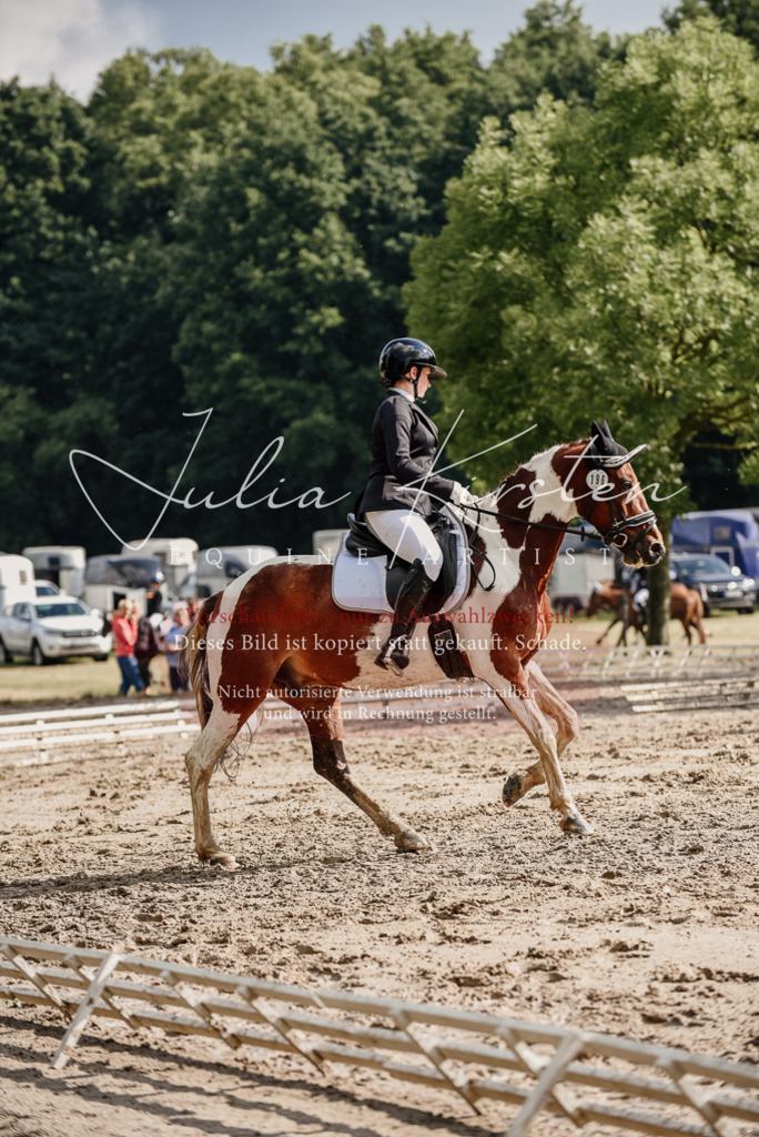 DSC_8795 | Pferde- und Turnierfotografie in Westsachsen. Pferdeportraits, Auftragszeichnungen und intuitive Kunst.
