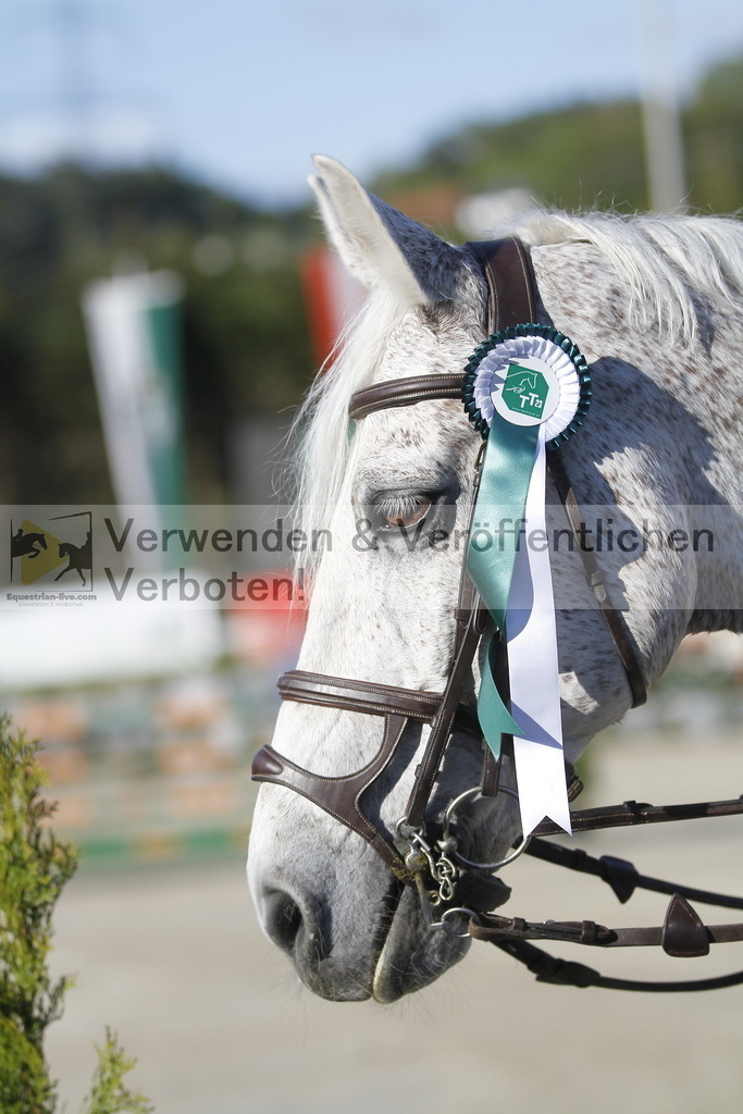 _MG_8190 | equestrian-live-com