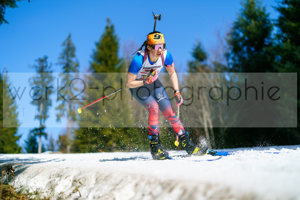 FESA Alpencup / DP Arber | 7. Deutschlandpokal Finale - ARBER Hohenzollern Skistadion, 6. - 9. März 2025