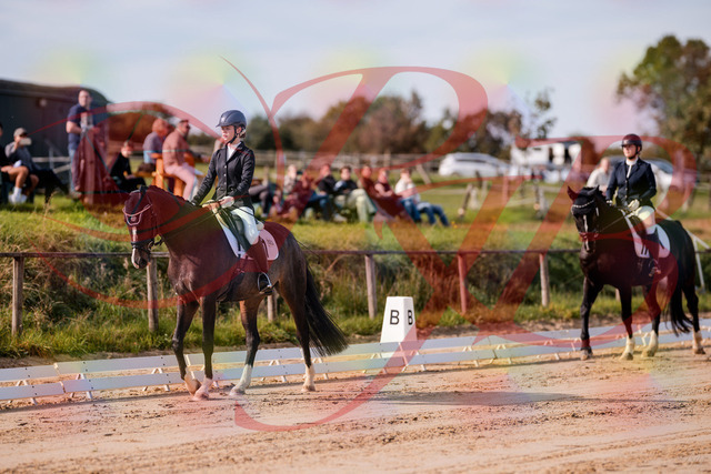 2026_10_03_Siefer-Hof_113237_Z81_78840026 | Professionelle Reitsport-, Turnier- und Eventfotografie von Robert Broda. Galerien mit ausgewählten und bearbeiteten Bildern direkt online ansehen und bestellen.