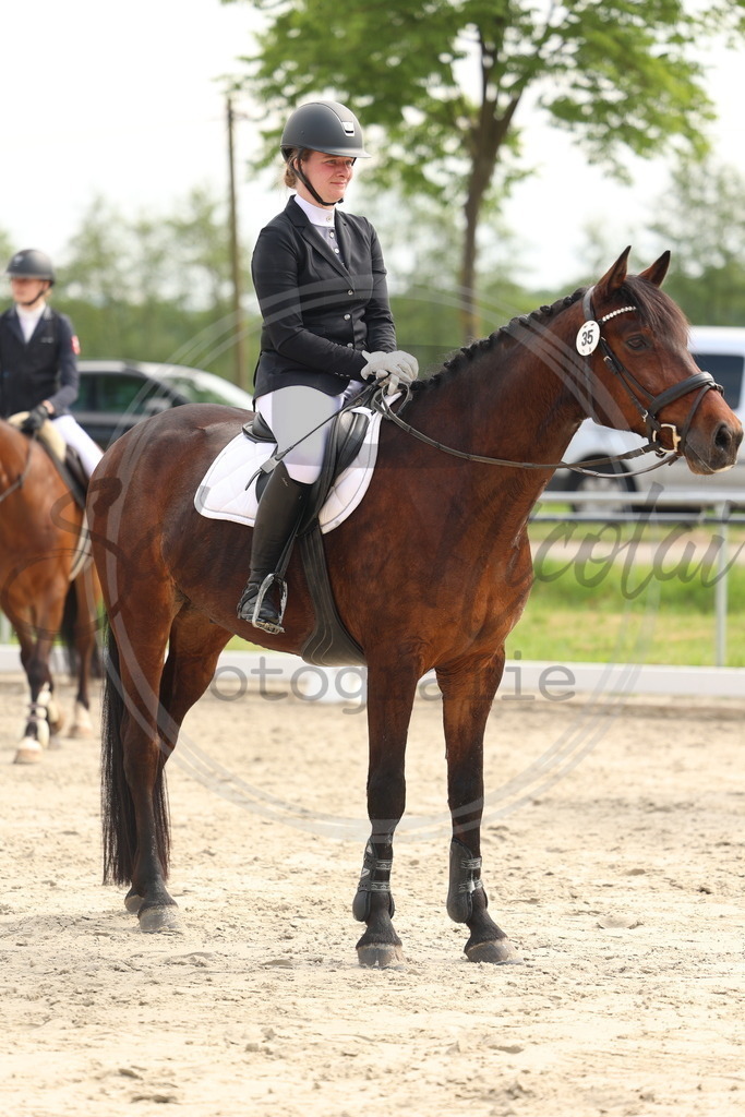 994A7617 | sabrinanicolaifotografie - Realisiert mit Pictrs.com