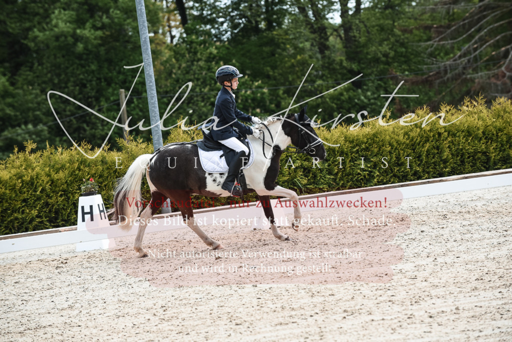20230518_JK-Röhrsdorf-11-0374 | Pferde- und Turnierfotografie in Westsachsen. Pferdeportraits, Auftragszeichnungen und intuitive Kunst.