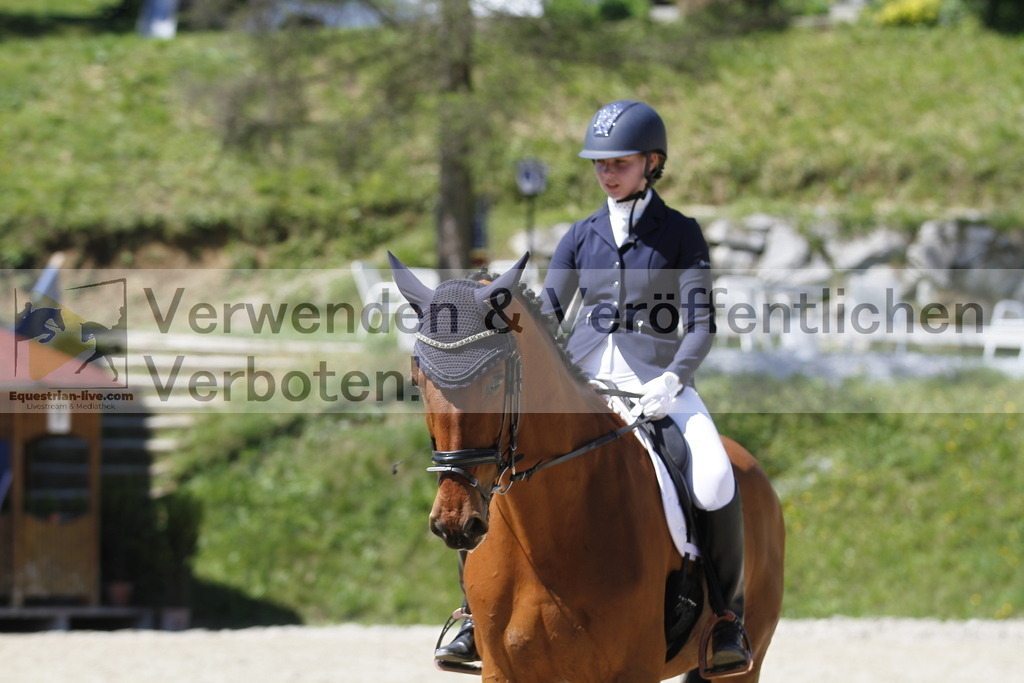 _MG_3781 | equestrian-live-com