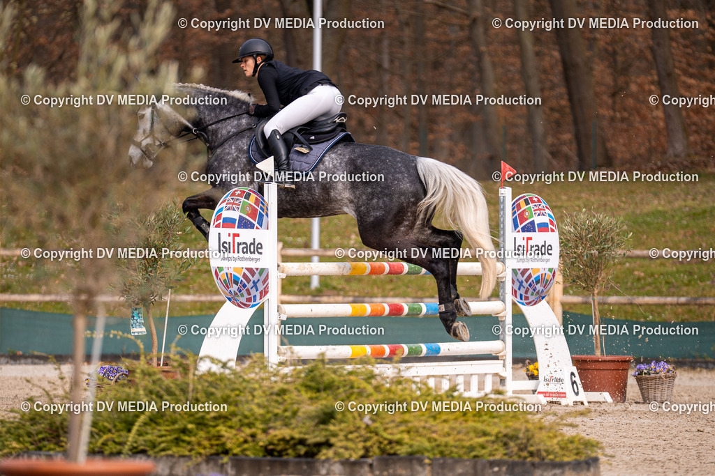 Kranichstein Tag 2-1640 | dv-media-shop - Realisiert mit Pictrs.com