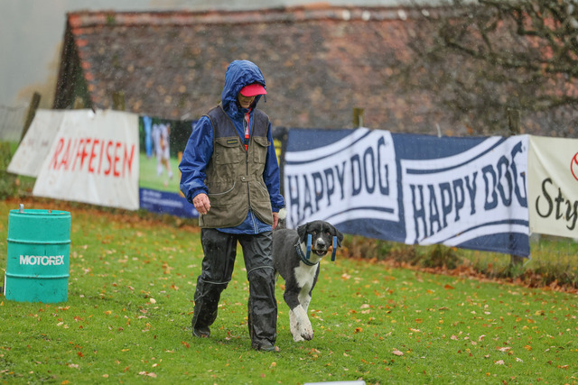 2025_Rally_Obedience_SM-156 | Ich fotografiere Hundeausstellungen, Sportanlässe, Zuchtstätten, Hundezucht, Hundeportrait, Lagotto - Realisiert mit Pictrs.com