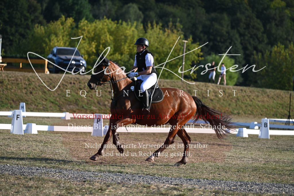 DSC_9216 | Pferde- und Turnierfotografie in Westsachsen. Pferdeportraits, Auftragszeichnungen und intuitive Kunst.