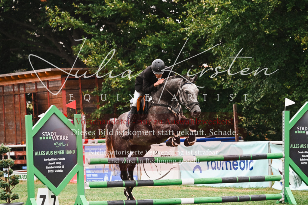 DSC_6551 | Pferde- und Turnierfotografie in Westsachsen. Pferdeportraits, Auftragszeichnungen und intuitive Kunst.