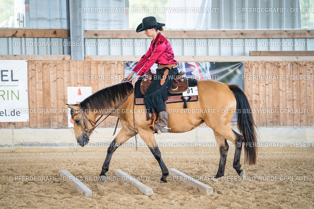 DSC03310 | Pferdegrafie