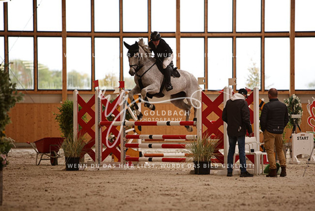 1J2A2641Annabell Kurp_ Queenie 28_ Kn429_ Hohen Wieschendorf_ Glantz | Foto- und Videografie für alles rund ums Pferd. Hochwertige Bilder und Videos vom Spring- und Dressurreiten, Voltigieren & mehr. Jetzt aktuelle Veranstaltungen und Preise im Shop ansehen. - Realisiert mit Pictrs.com