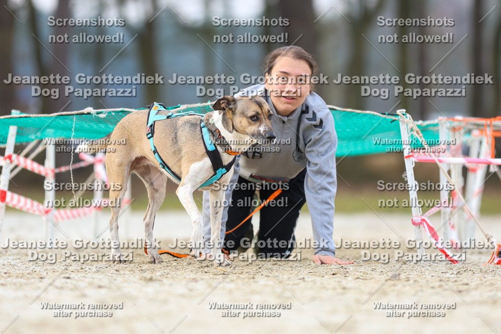 Dog Paparazzi - Strongdog North Mrz26-3931 | Dog Paparazzi Jeanette Grottendiek Fotografie & Videografie - Realisiert mit Pictrs.com