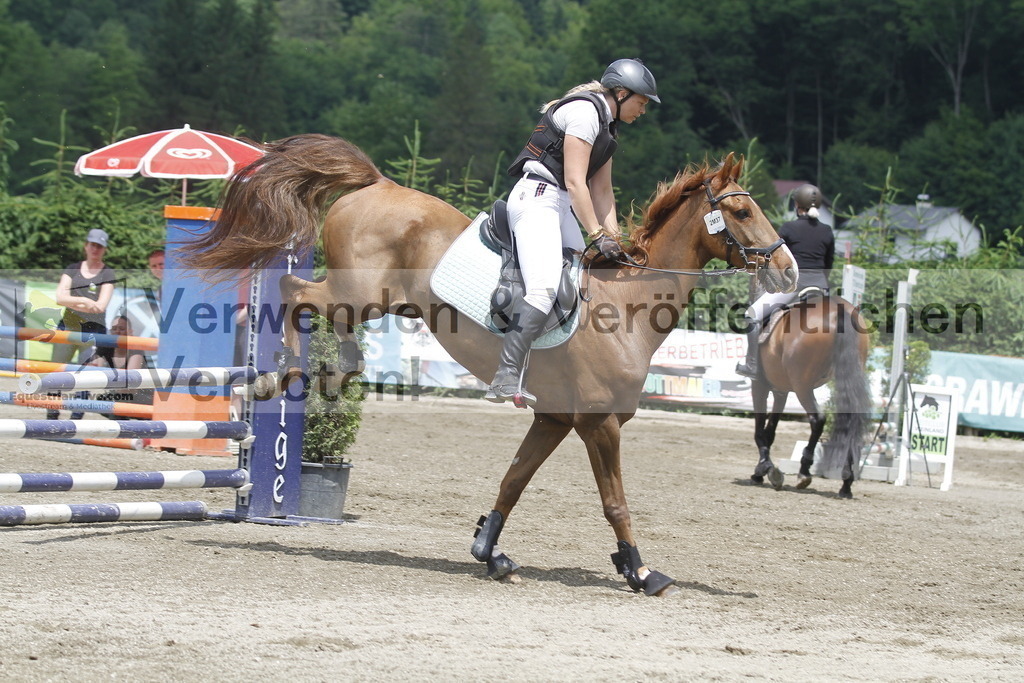 _MG_5167 | equestrian-live-com