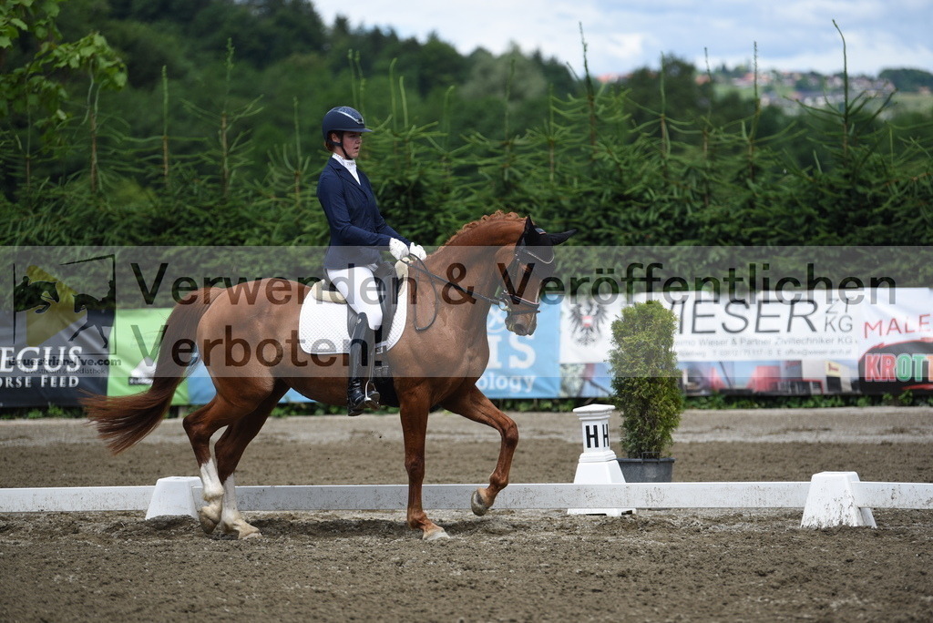 DSC_0982 | equestrian-live-com