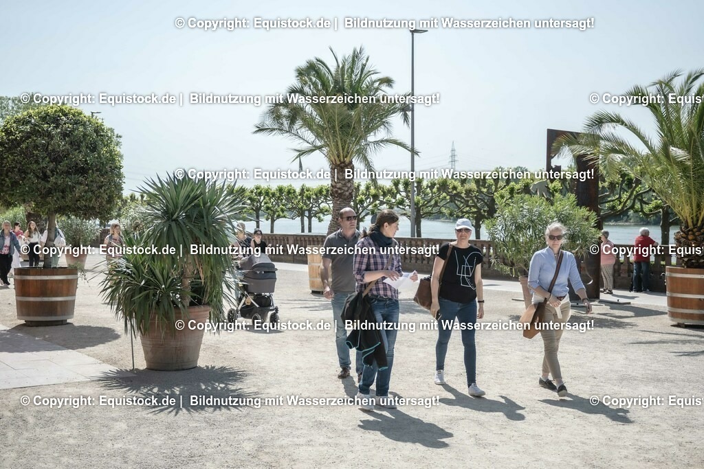 ZFC_3950 | equistock