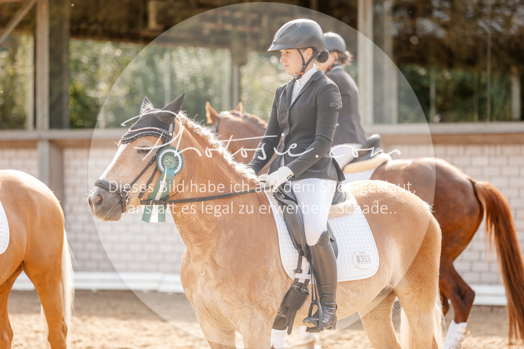 3I6A4544 | Stimmungsvolle Portraits und Reitsportfotografie im Ruhrgebiet und im Münsterland.

Pferdefotografie, Hundefotografie, Tierfotografie, Reportagen, Portraits von Tier und Mensch, Turnierfotografie in Bochum, Recklinghausen, Marl, Haltern am See, Dülmen.. - Realisiert mit Pictrs.com