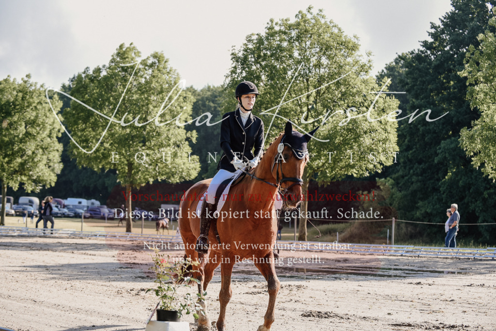 DSC_7696 | Pferde- und Turnierfotografie in Westsachsen. Pferdeportraits, Auftragszeichnungen und intuitive Kunst.