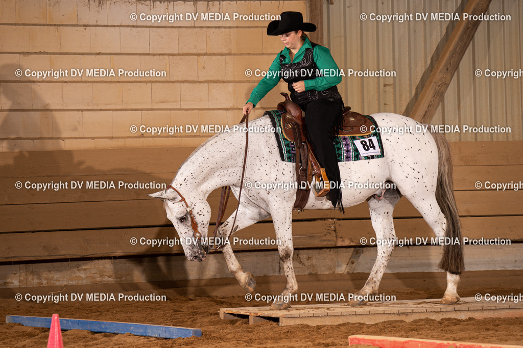 NID00566 | dv-media-shop - Realisiert mit Pictrs.com