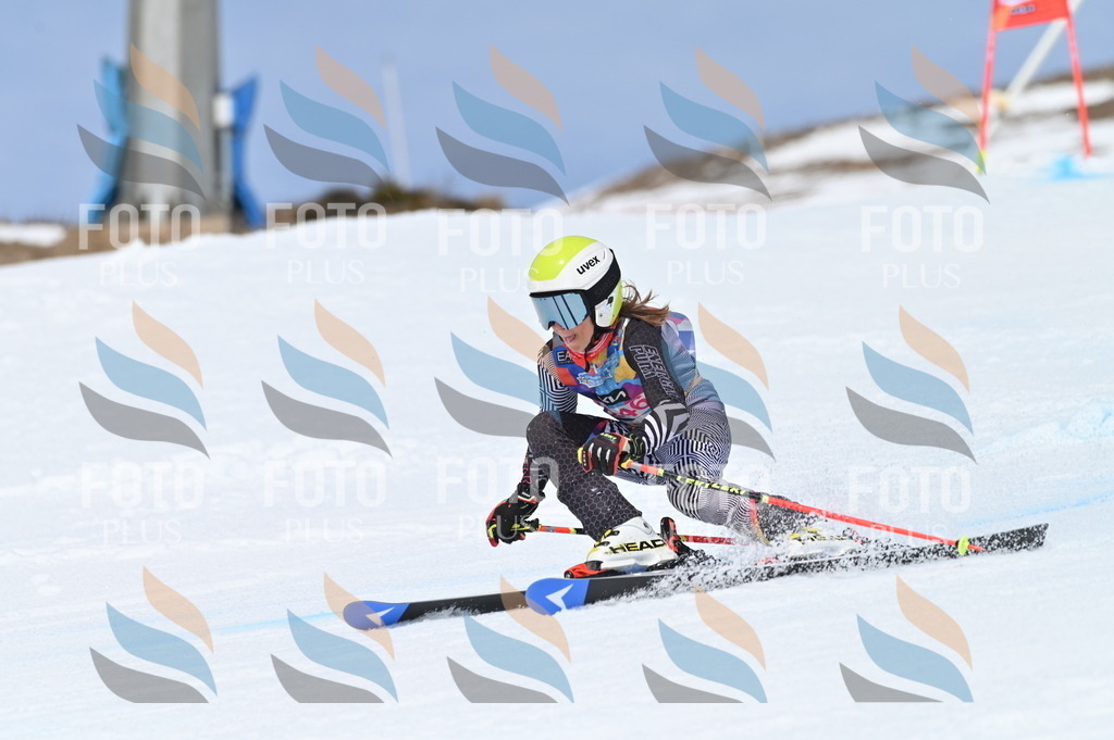 BGV_1816 | holidayphoto