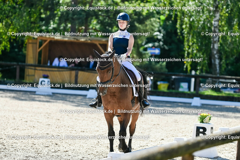 20230908_06_Dressur-L-Trense_0336 | equistock