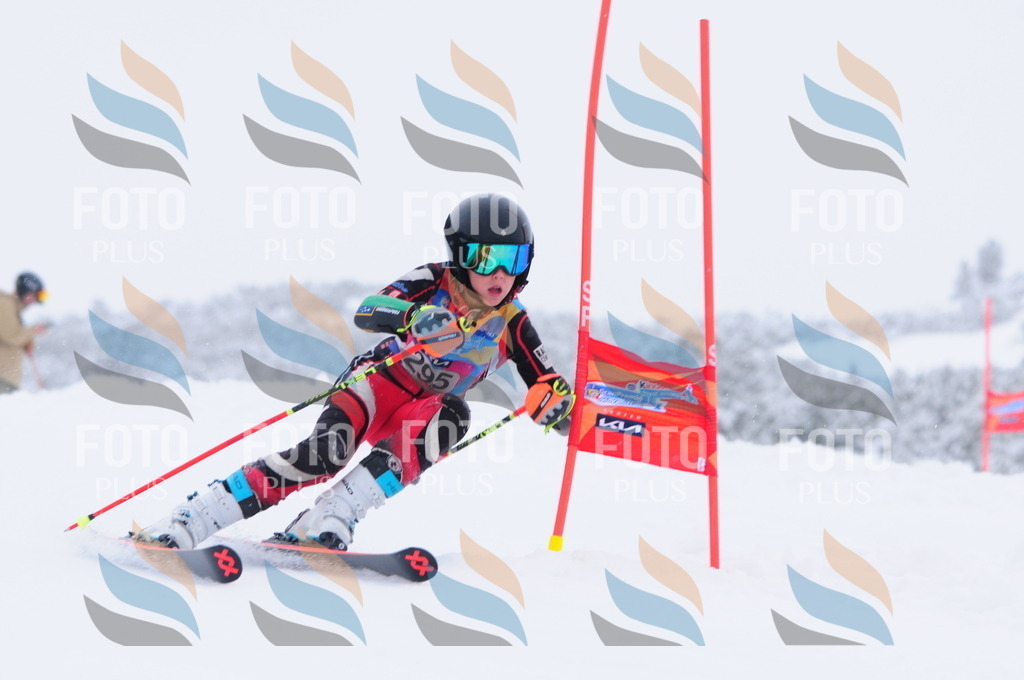 C3113 | holidayphoto